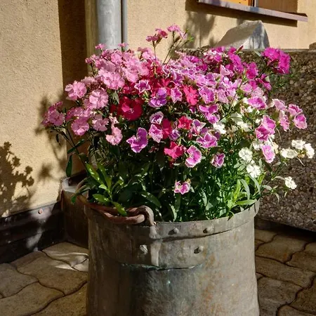 Apartment Chesa Munteratsch 2-zimmmerwohnung 205 Typ E *