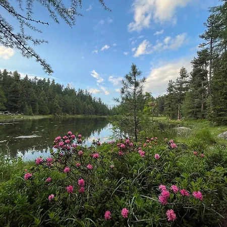 Apartment Chesa Munteratsch 2-zimmmerwohnung 205 Typ E Silvaplana