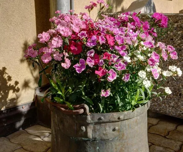 Apartman Chesa Munteratsch 2-zimmmerwohnung 205 Typ E *