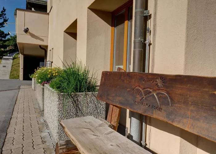 Chesa Munteratsch 2-zimmmerwohnung 205 Typ E Silvaplana