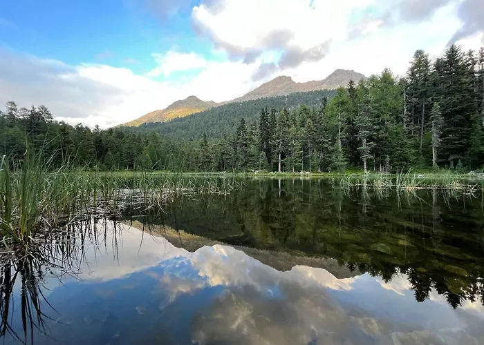 Chesa Munteratsch 2-zimmmerwohnung 205 Typ E Silvaplana