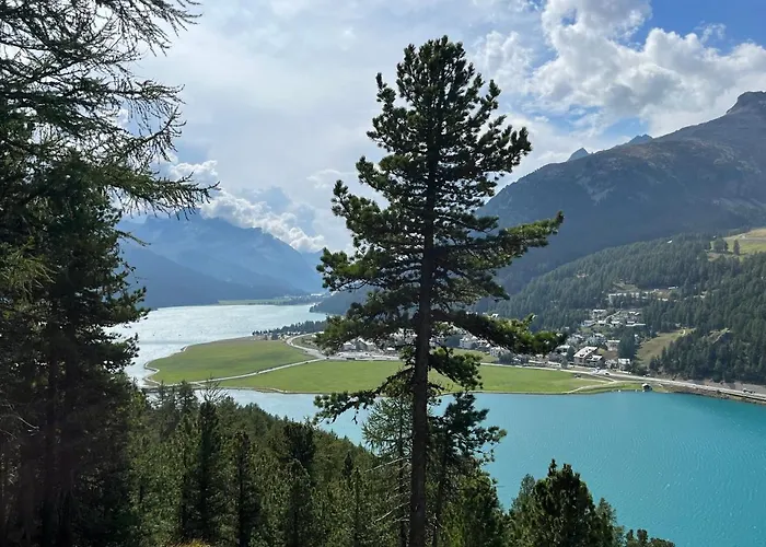 Apartman Chesa Munteratsch 2-zimmmerwohnung 205 Typ E *