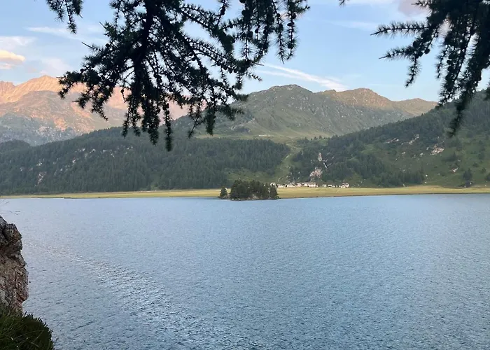 Chesa Munteratsch 2-zimmmerwohnung 205 Typ E Silvaplana