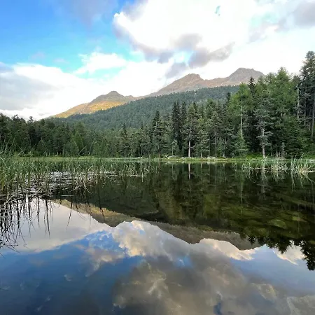 Chesa Munteratsch 2-zimmmerwohnung 205 Typ E Silvaplana