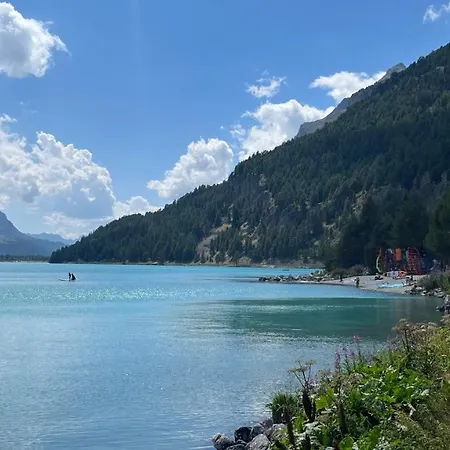 Chesa Munteratsch 2-zimmmerwohnung 205 Typ E Silvaplana