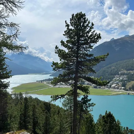 Διαμέρισμα Chesa Munteratsch 2-zimmmerwohnung 205 Typ E *