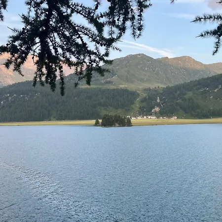 Chesa Munteratsch 2-zimmmerwohnung 205 Typ E Silvaplana